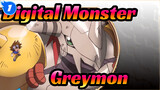 [Digital Monster] Bertarung, Greymon! / Koleksi Pertarungan Epik_1