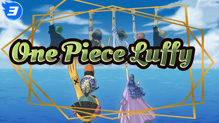 They're Luffy's Partners | One Piece_3