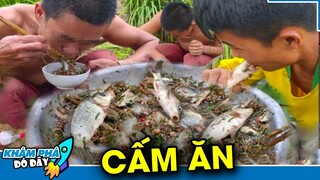 7 Món Ăn Sống Cực Đáng Sợ Nguy Hiểm và Độc Lạ Nhất Của Nhật Bản | KHÁM PHÁ ĐÓ ĐÂY