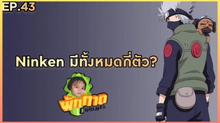 EP.43 Ninken มีทั้งหมดกี่ตัว?