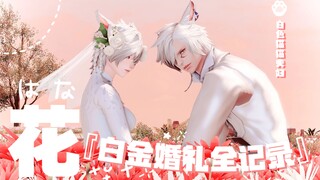 【FF14/婚礼跟拍gmv】花 ❀ 白色猫猫夫妇