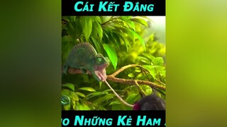 Phát Cuối Nó Đớp Trúng Con Gì Nhể 😍 Chắc Phải IQ Vô Cực Mới Hiểu Á 😎 phim phimhay phimmoi phimhaymoinhat phimhoathinh