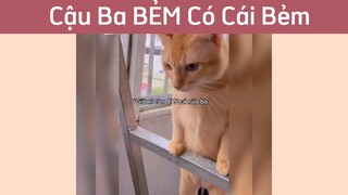 Cái tay x3,đừng tưởng anh đây dễ dãi. 10 cá mới đi #cliphai #funny #haihuoc