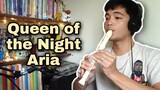The Magic Flute | Queen of the Night Aria - Recorder Cover (Mozart, Diana Damrau, The Royal Opera)