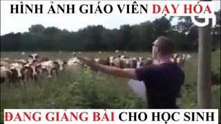 Dương Luật Official - Xem đi cho đỡ tối cổ #60| Một chiếc video cực nhân văn 😁😁😁