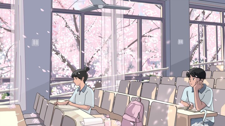 [Belajar di ruang kuliah yang penuh dengan bunga sakura di tengah angin awal musim semi di luar jend