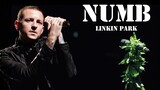 [Music] [NUMB] 10,000 People Sang In LA For Chester