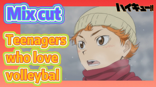 [Haikyuu!!]  Mix cut | Teenagers who love volleyball