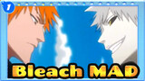 [Bleach/MAD/Epic/Emotional] I Fight Because I Cannot Undertake Price of Failure_1