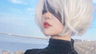 【静谧风】尼尔机械纪元 2B Cos