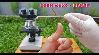 ZOOM 1000X: DAUN, TEMPE, SPONS & SEL DARAH