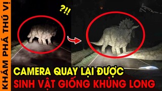 🔥 7 Sinh Vât Bí Ẩn Xuất Hiện Trong Rừng Sâu Vô Tình Bị Camera Quay Lại | Khủng Long Xuất Hiện KPTV