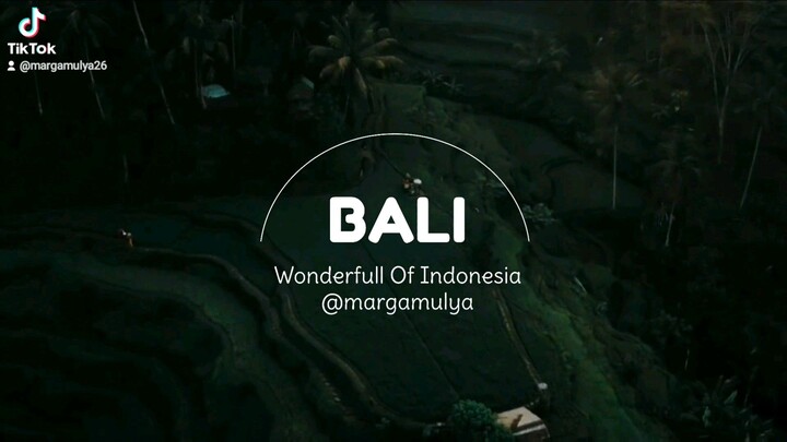 BALI The Wonderfull of Indonesia