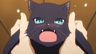 "~My tsundere wife turned into a cat~"