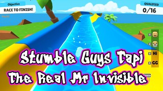 Stumble Guys Tapi The Real Mr Invisible