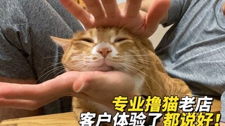 怒 搓 猫 猫 头，猫咪：师傅手法不错！