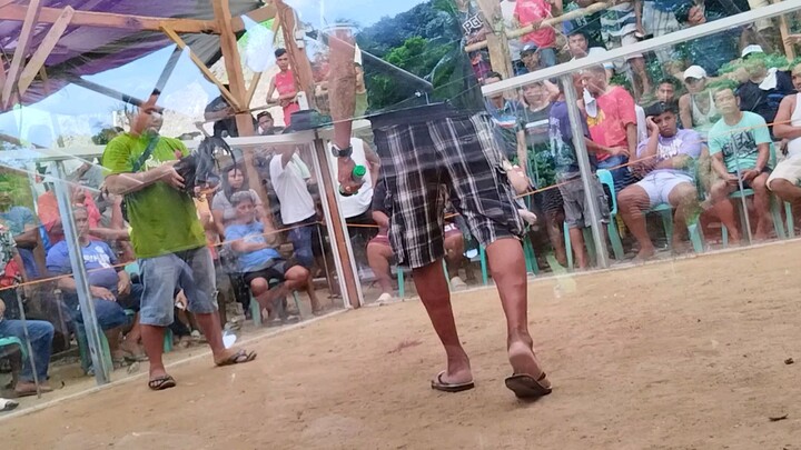 Third fight win kontra talisay