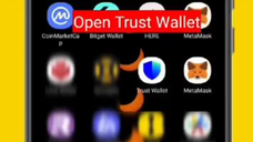 Registration & Activation in Trust Wallet