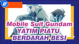 [Mobile Suit Gundam] YATIM PIATU BERDARAH BESI, Destiny_2