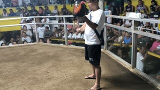 2nd Fight Win pa champion nakagante ng kise 55k bet nadehado pa kami