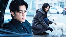 CEO tỷ phú 30 năm không ưa phụ nữ yêu cô gái nghèo chăm sóc chó hoang - Phụ đề tiếng Việt