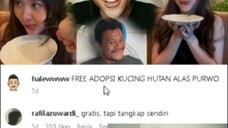 di cari yg mau adopsi