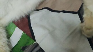 gi