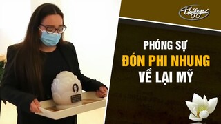 Phóng Sự: Đón Phi Nhung Về Lại Mỹ