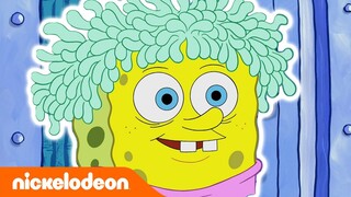 SpongeBob SquarePants | Wanita Kucing | Nickelodeon Bahasa