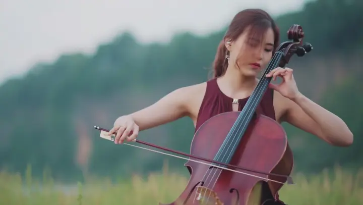 "Speechless" was covered by a woman with cello