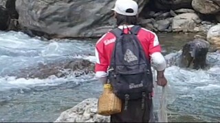 cast net fishing in Nepal | himalayan trout fishing in Nepal | asala fishing |