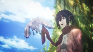 Die With A Smile - Eren & Mikasa AMV