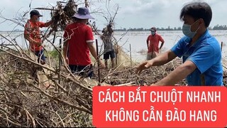 Cách bắt chuột đồng giản và hiệu quả của người Miền Tây khi lũ kéo về