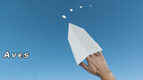 Paper Airplane