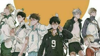 Haikyuu AMV Setters