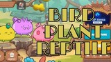 [Axie Infinity] Paano pataasin ang MMR sa Axie | Bird Plant Reptile