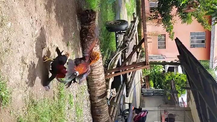 angat sarado