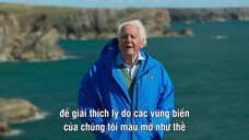 Quần Đảo Anh Hoang Dã EP 5 [Sub Việt]