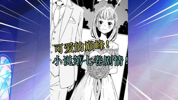 婚纱白玉初次亮相！老八的真心坦白！败犬女主小说解读第二十七期