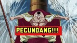 Tsunami Fakta 🗿  Shirohige Pecundang Dari Masa Lalu!! Anime One Piece