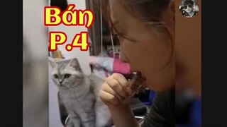 Ở đây có bán tiếng cười 🤣 - Phần 4 KTLN 24h