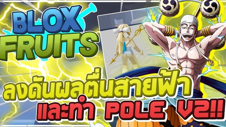 Roblox Blox Fruits ⚡ ลงดันผลตื่นสายฟ้าแสนโวลต์และวิธีได้ Pole v2!! สกิลที่โหดสุดๆ ใช้ทีโลกแตก!! 555