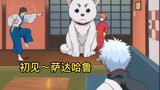 When Gintoki first met Sadaharu, he began to have a good time with Sadaharu biting his head.