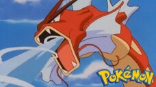 Pokémon Tập 238: Cơn Giận Dữ Của Gyarados Màu Đỏ! (Lồng Tiếng)