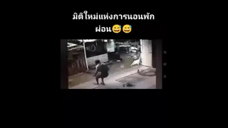 มิติใหม่แฟห่งการนอน