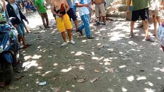 talo manok natin bawi nalang sunod