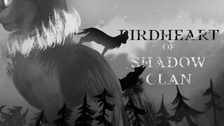 Birdheart of ShadowClan