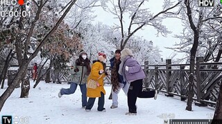 旅游也不忘ditto