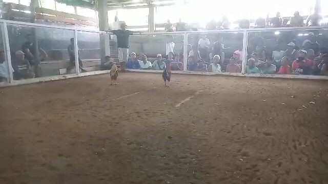 #2 win po mga idol