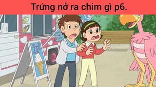 Trứng nở ra chim gì p6